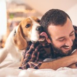 10 most common dog health problems